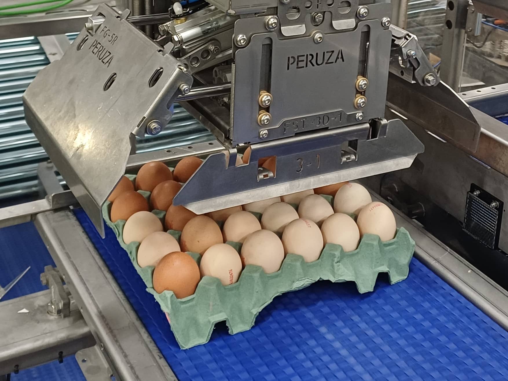PERUZA automated egg packaging equipment